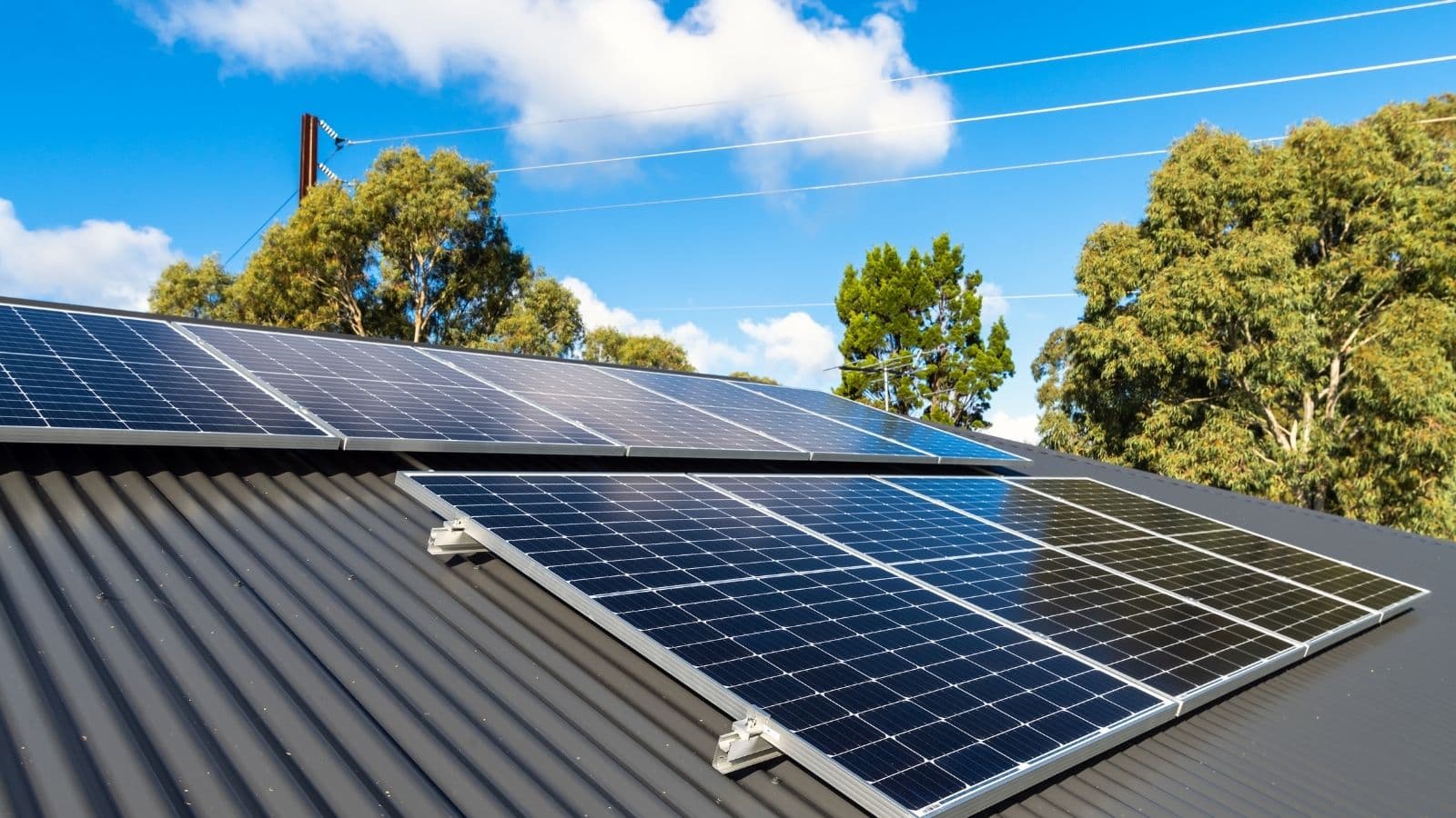 Solar panels on a metal roof with overhead power lines and trees in the background.
