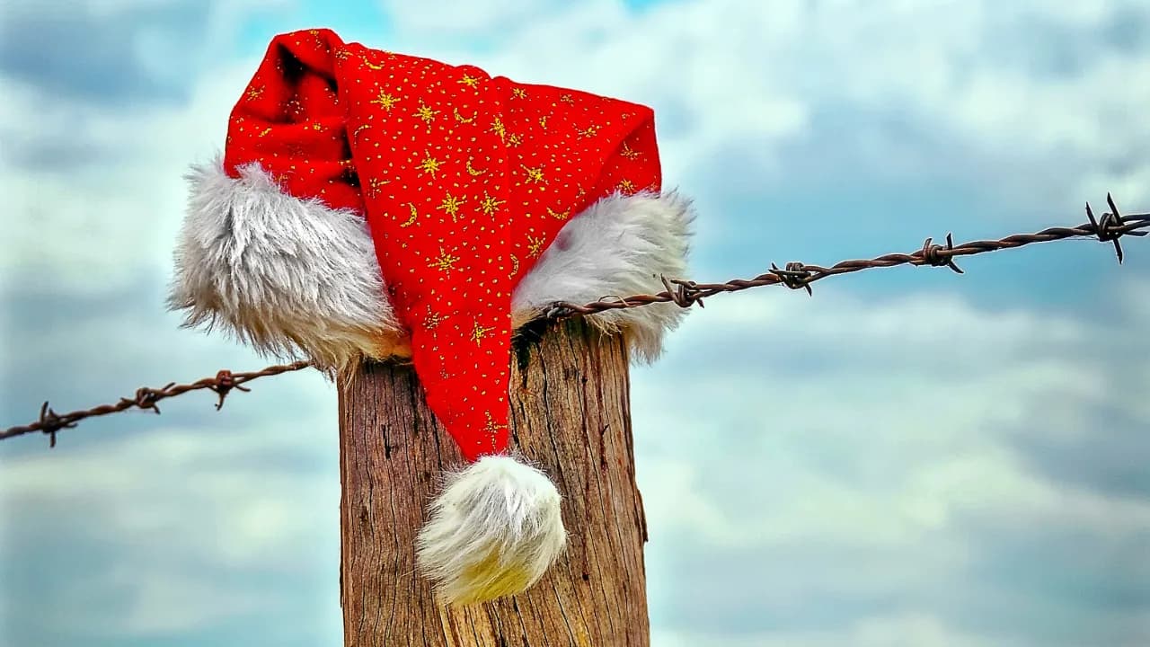 Christmas & New Year service availability